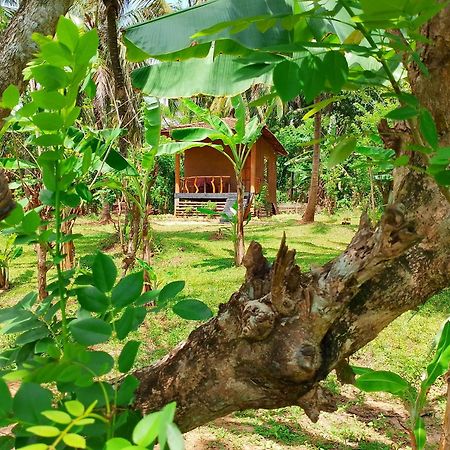 Milk House Cottage Udawalawe Buitenkant foto