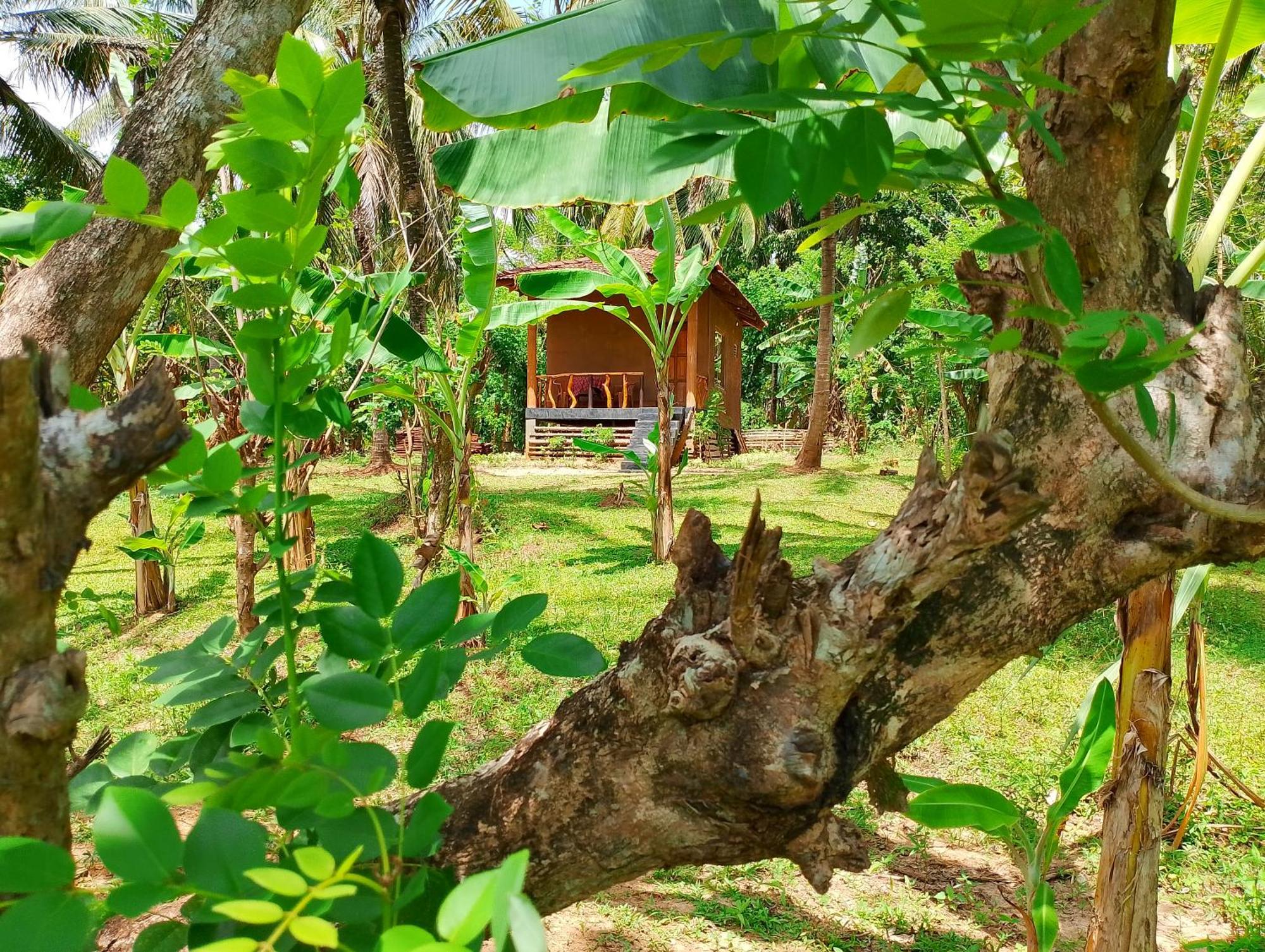 Milk House Cottage Udawalawe Buitenkant foto