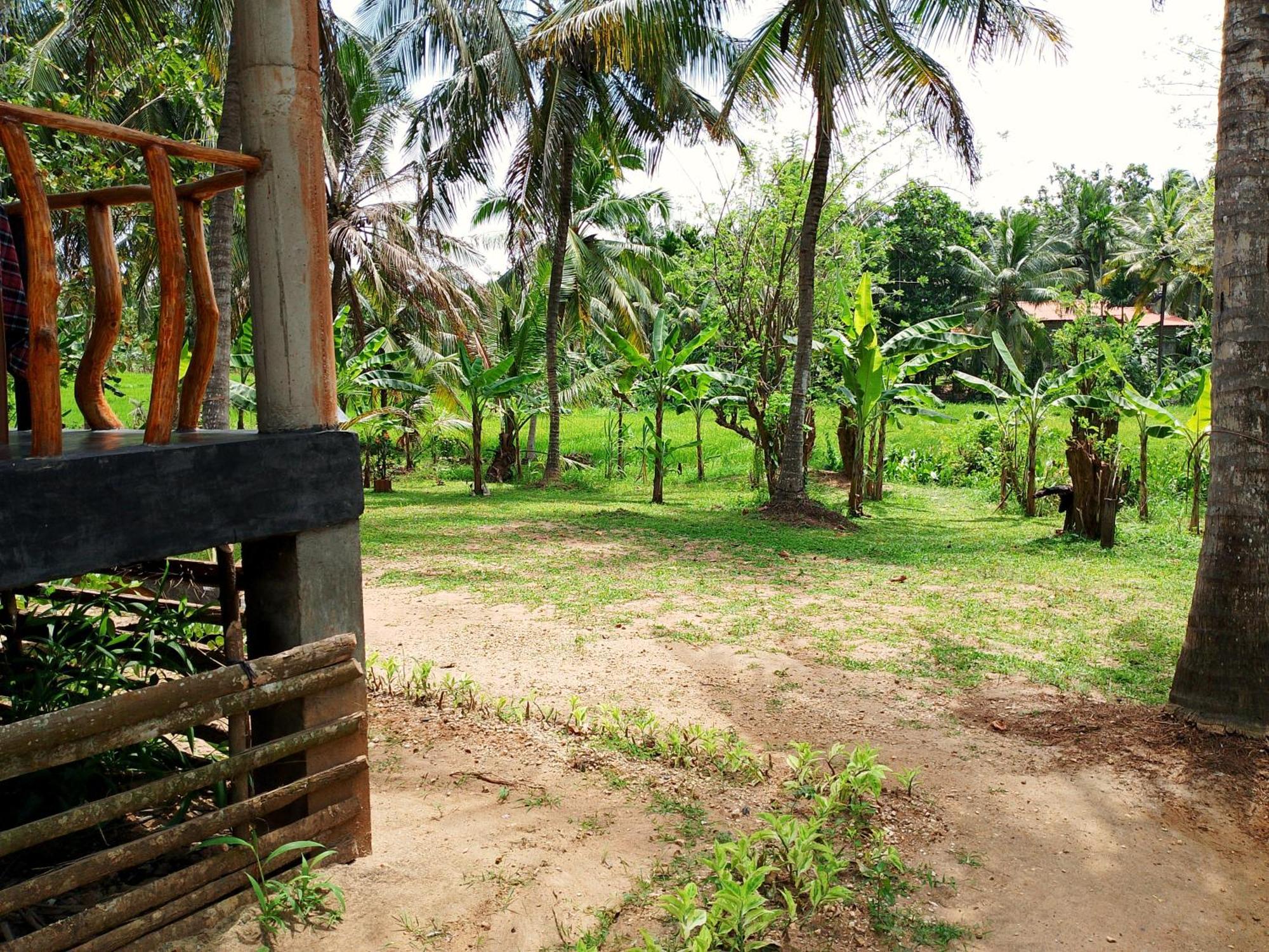 Milk House Cottage Udawalawe Buitenkant foto