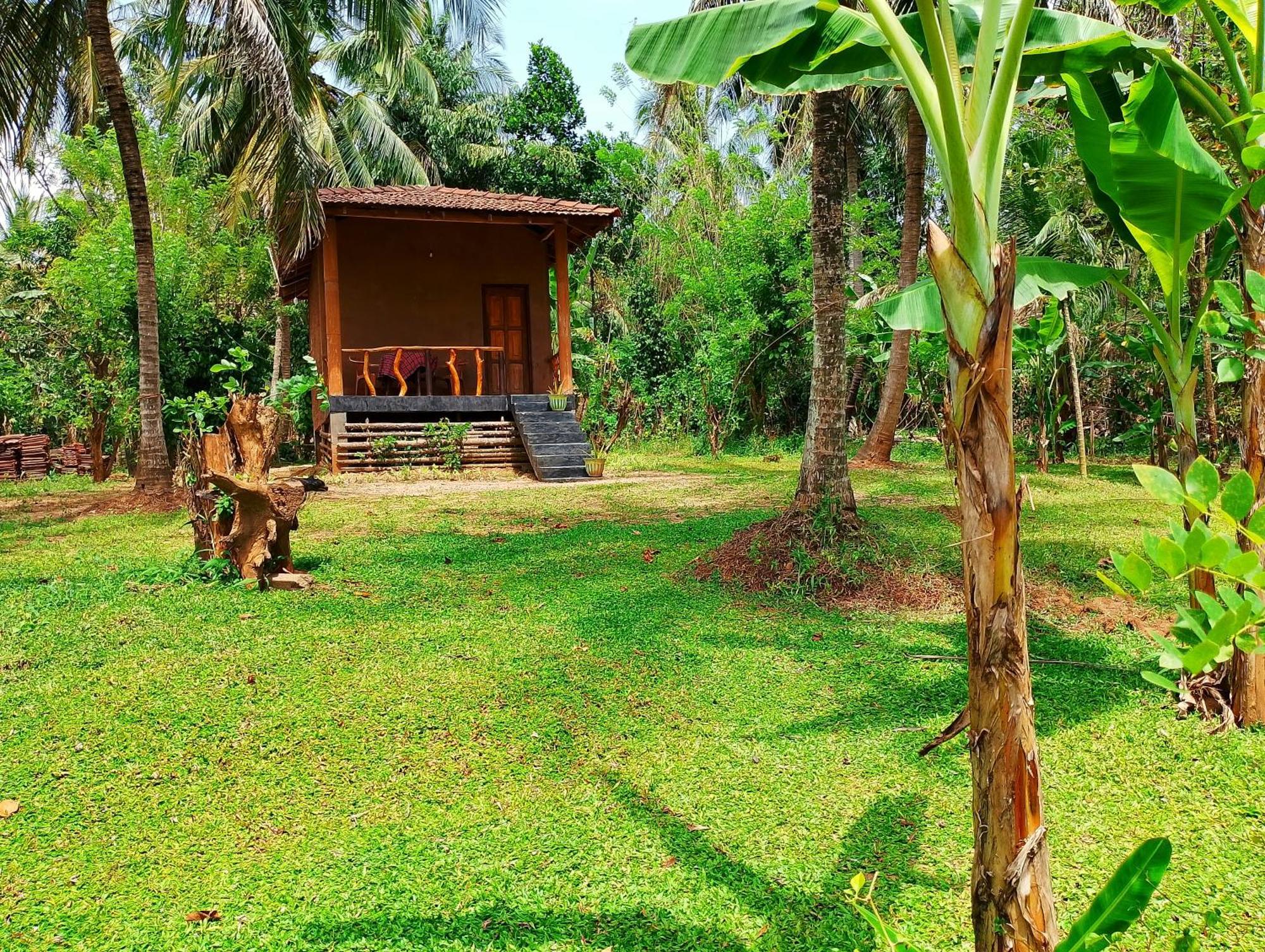 Milk House Cottage Udawalawe Buitenkant foto
