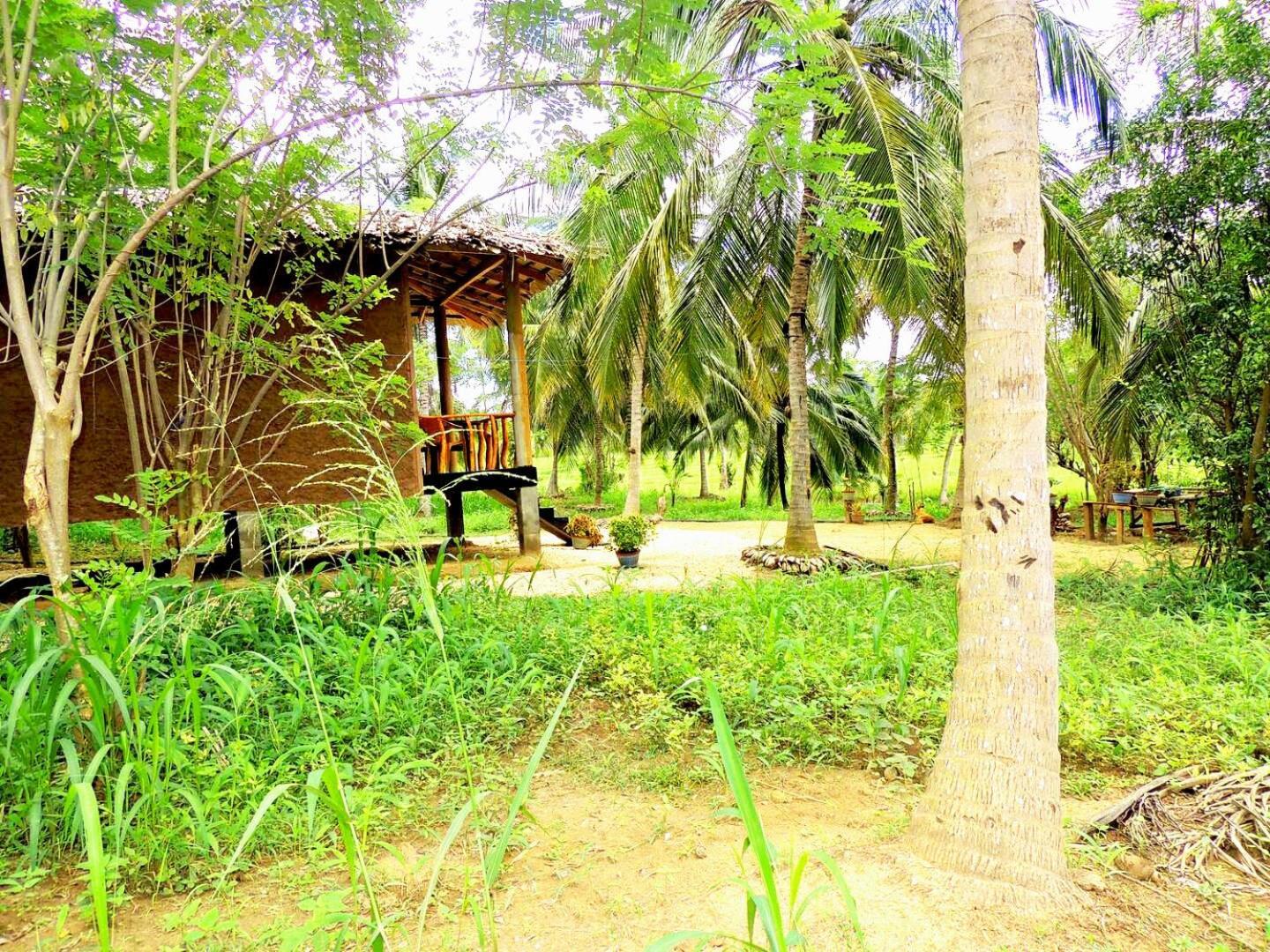 Milk House Cottage Udawalawe Buitenkant foto