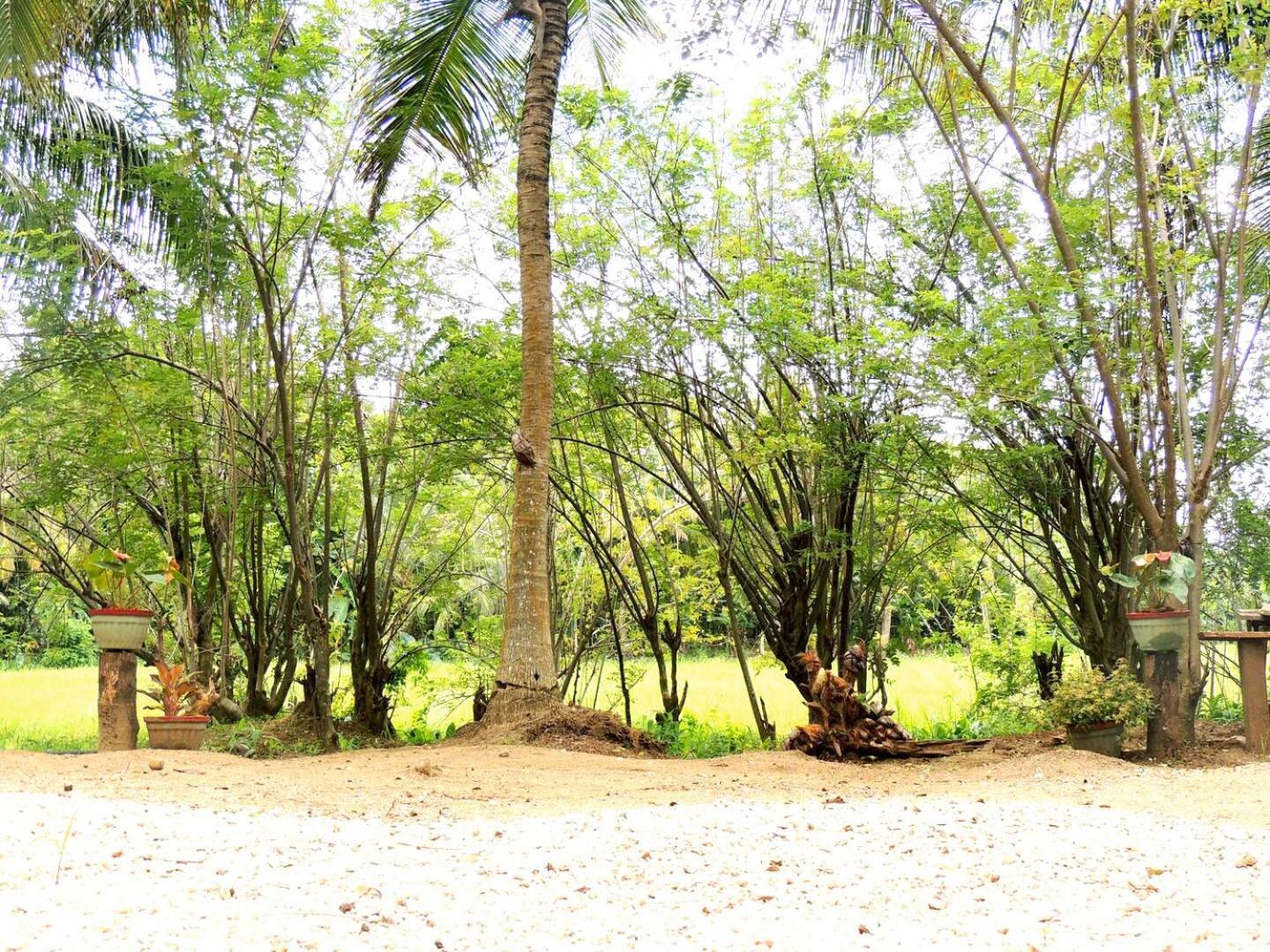 Milk House Cottage Udawalawe Buitenkant foto