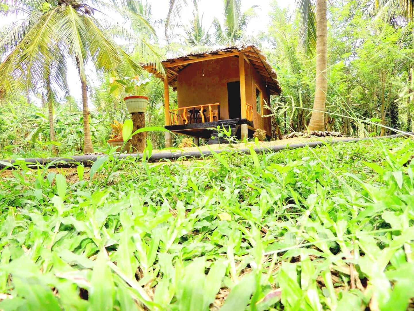 Milk House Cottage Udawalawe Buitenkant foto