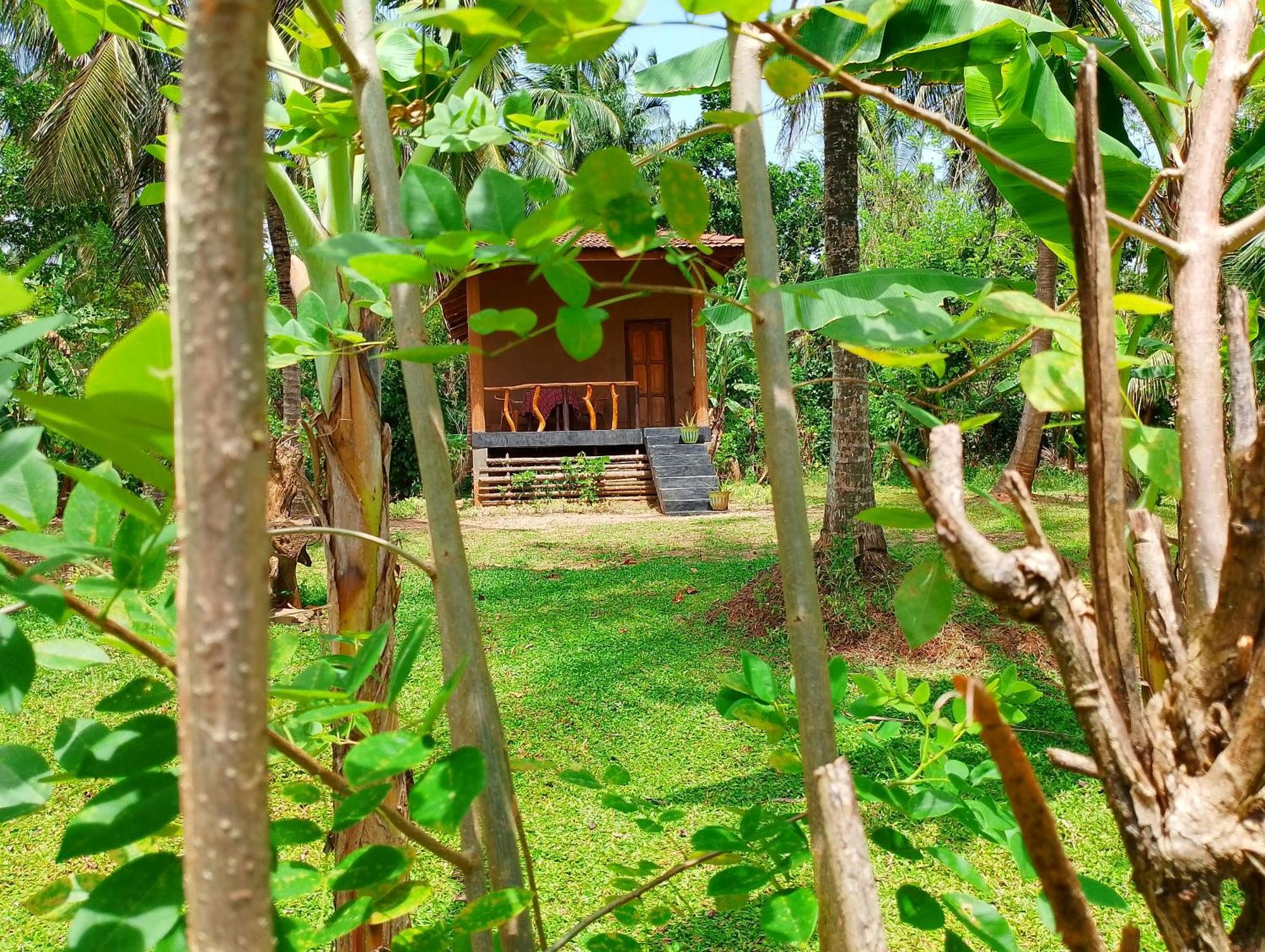Milk House Cottage Udawalawe Kamer foto