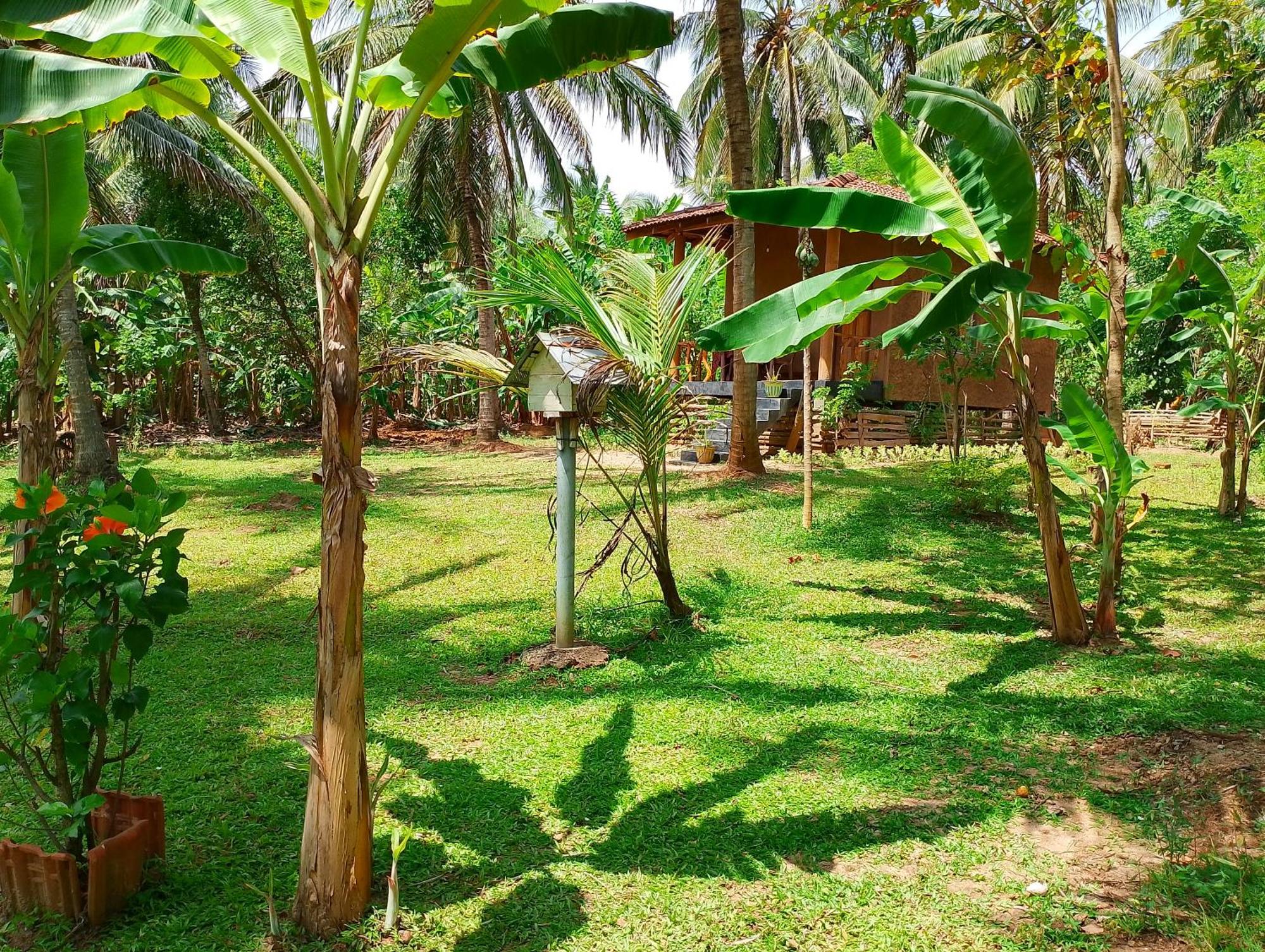 Milk House Cottage Udawalawe Kamer foto